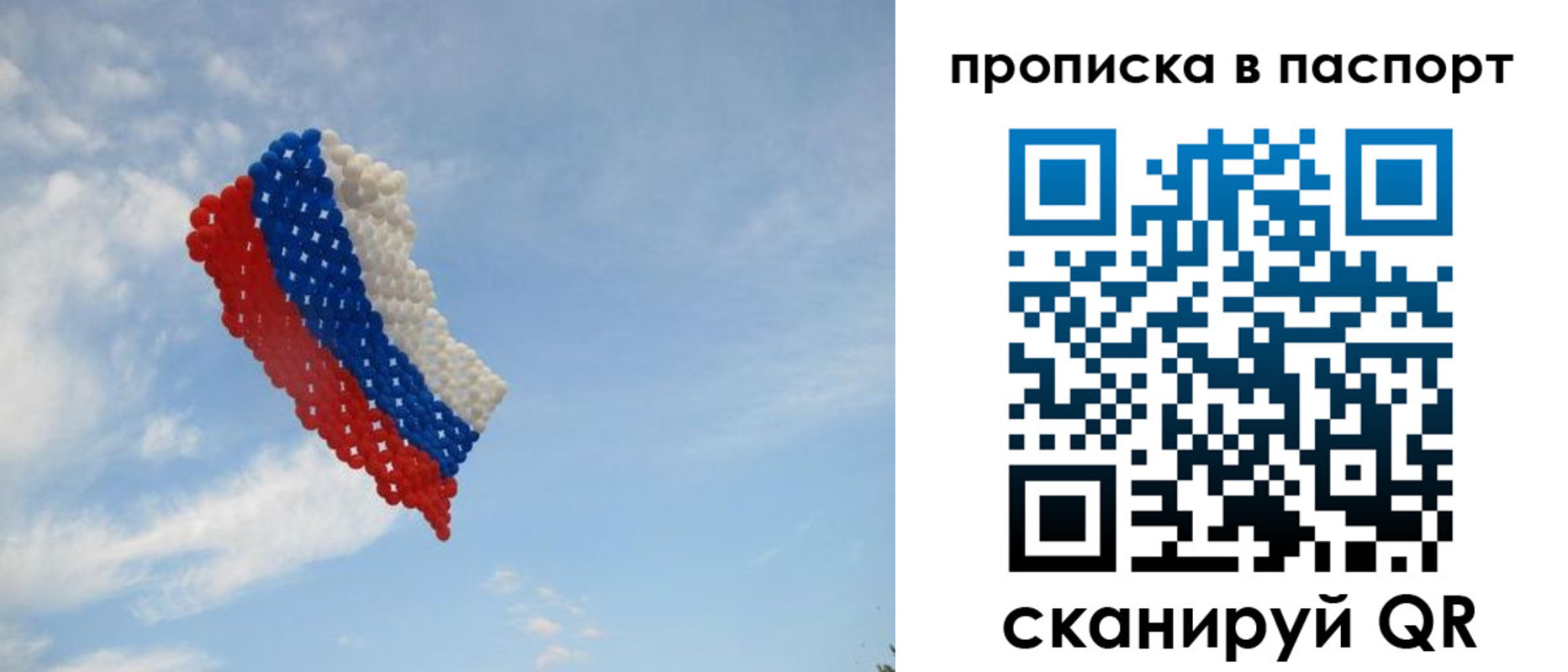 найти адрес прописки в Купино